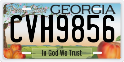 GA license plate CVH9856