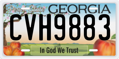 GA license plate CVH9883