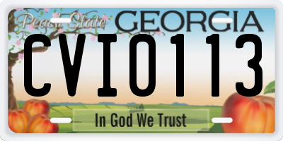 GA license plate CVI0113