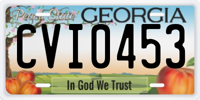 GA license plate CVI0453