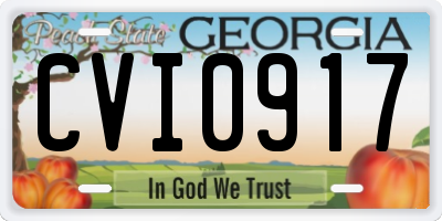 GA license plate CVI0917