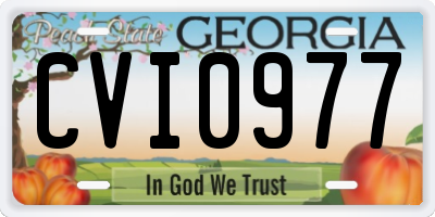 GA license plate CVI0977