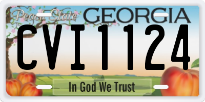 GA license plate CVI1124