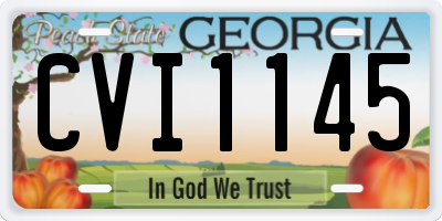 GA license plate CVI1145