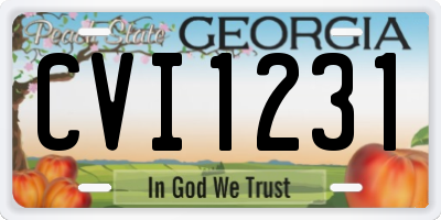 GA license plate CVI1231