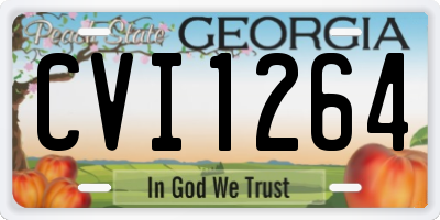 GA license plate CVI1264