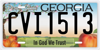 GA license plate CVI1513