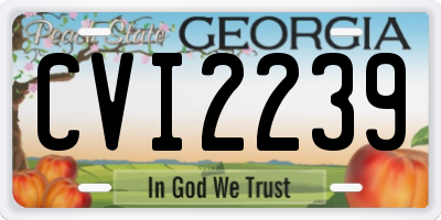 GA license plate CVI2239