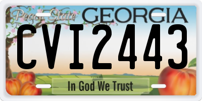 GA license plate CVI2443