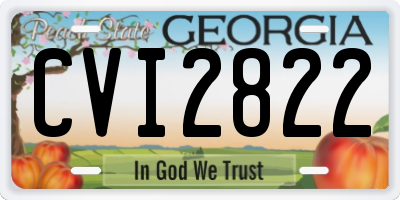 GA license plate CVI2822