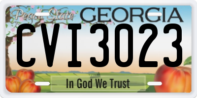 GA license plate CVI3023