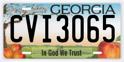 GA license plate CVI3065