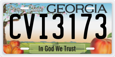 GA license plate CVI3173