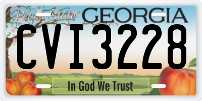 GA license plate CVI3228