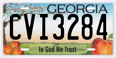 GA license plate CVI3284