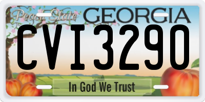 GA license plate CVI3290