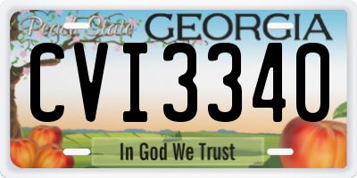 GA license plate CVI3340