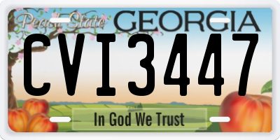 GA license plate CVI3447