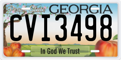 GA license plate CVI3498