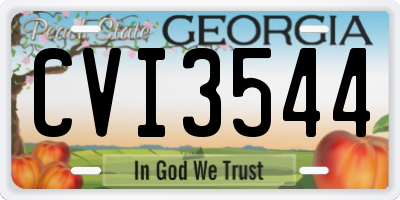GA license plate CVI3544