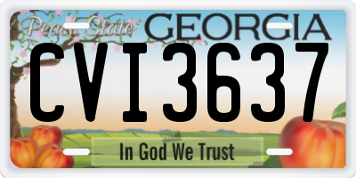 GA license plate CVI3637