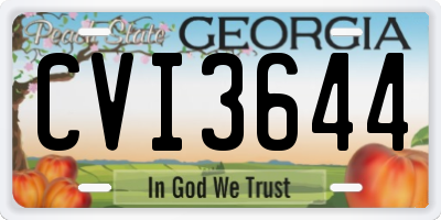 GA license plate CVI3644