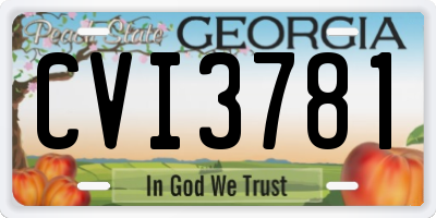 GA license plate CVI3781
