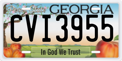 GA license plate CVI3955
