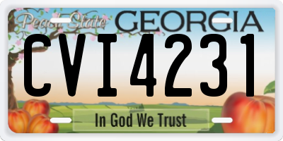 GA license plate CVI4231