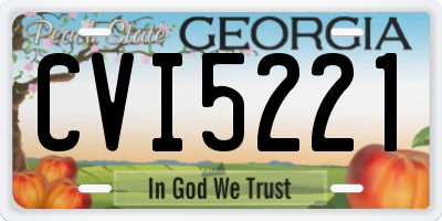 GA license plate CVI5221