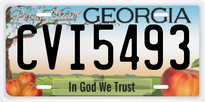 GA license plate CVI5493