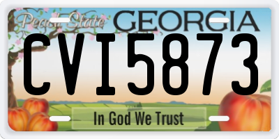 GA license plate CVI5873