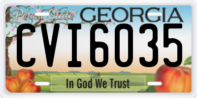 GA license plate CVI6035