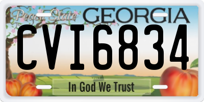 GA license plate CVI6834