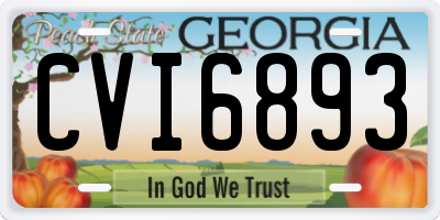 GA license plate CVI6893