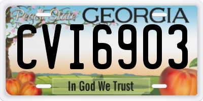 GA license plate CVI6903