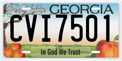 GA license plate CVI7501