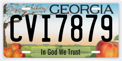 GA license plate CVI7879