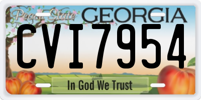 GA license plate CVI7954
