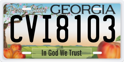 GA license plate CVI8103