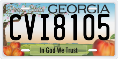 GA license plate CVI8105
