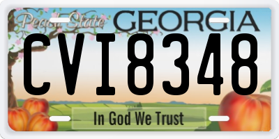 GA license plate CVI8348