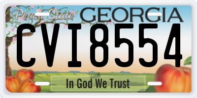 GA license plate CVI8554