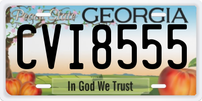 GA license plate CVI8555