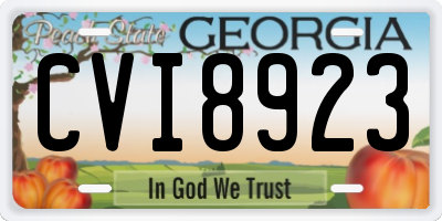 GA license plate CVI8923