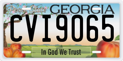 GA license plate CVI9065