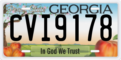 GA license plate CVI9178