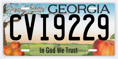 GA license plate CVI9229