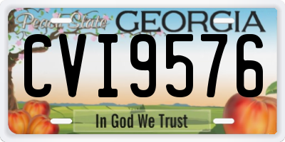 GA license plate CVI9576