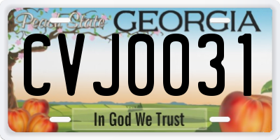 GA license plate CVJ0031